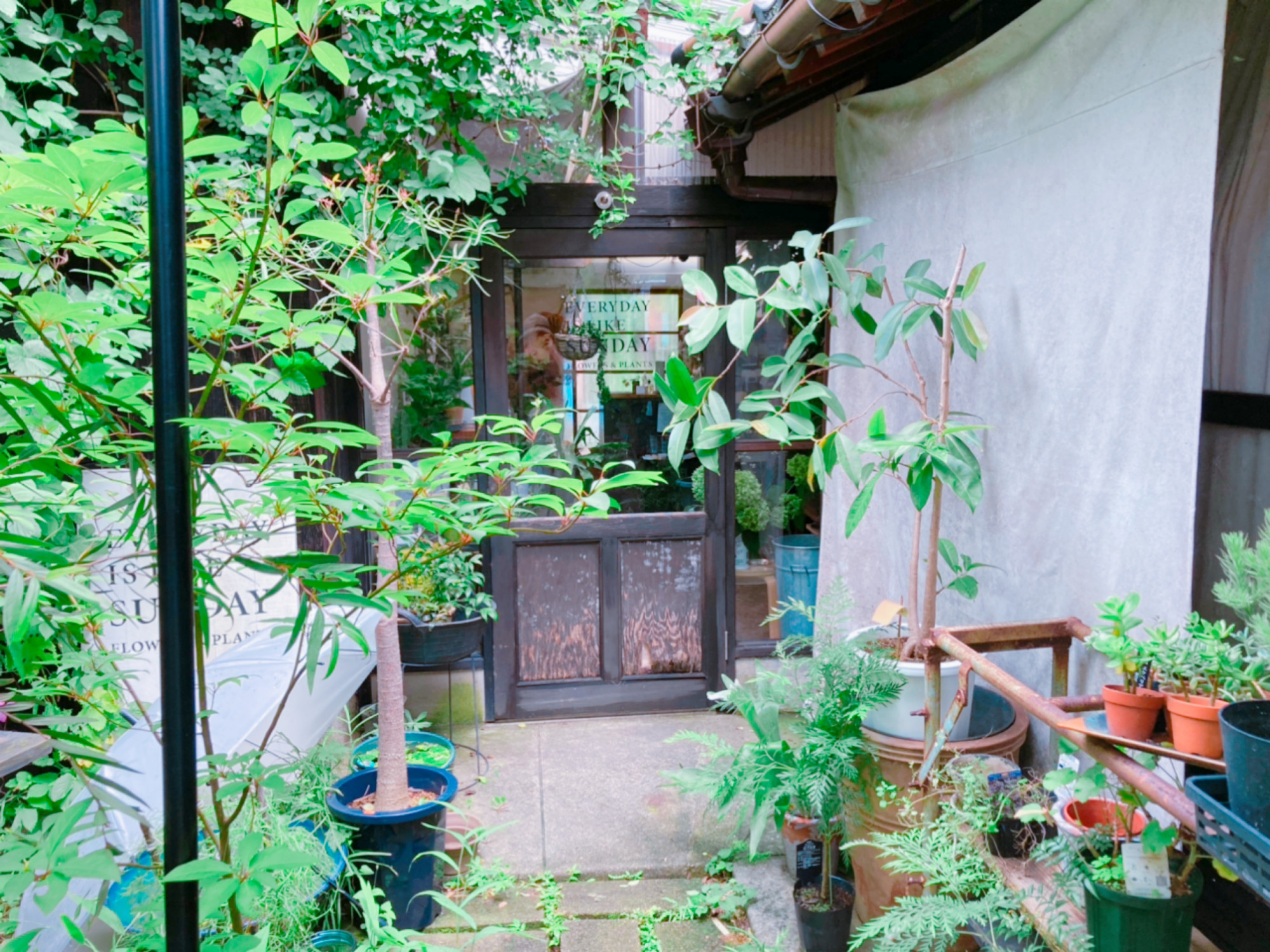 下松市 おしゃれな花屋 エブリディイズライクサンディ